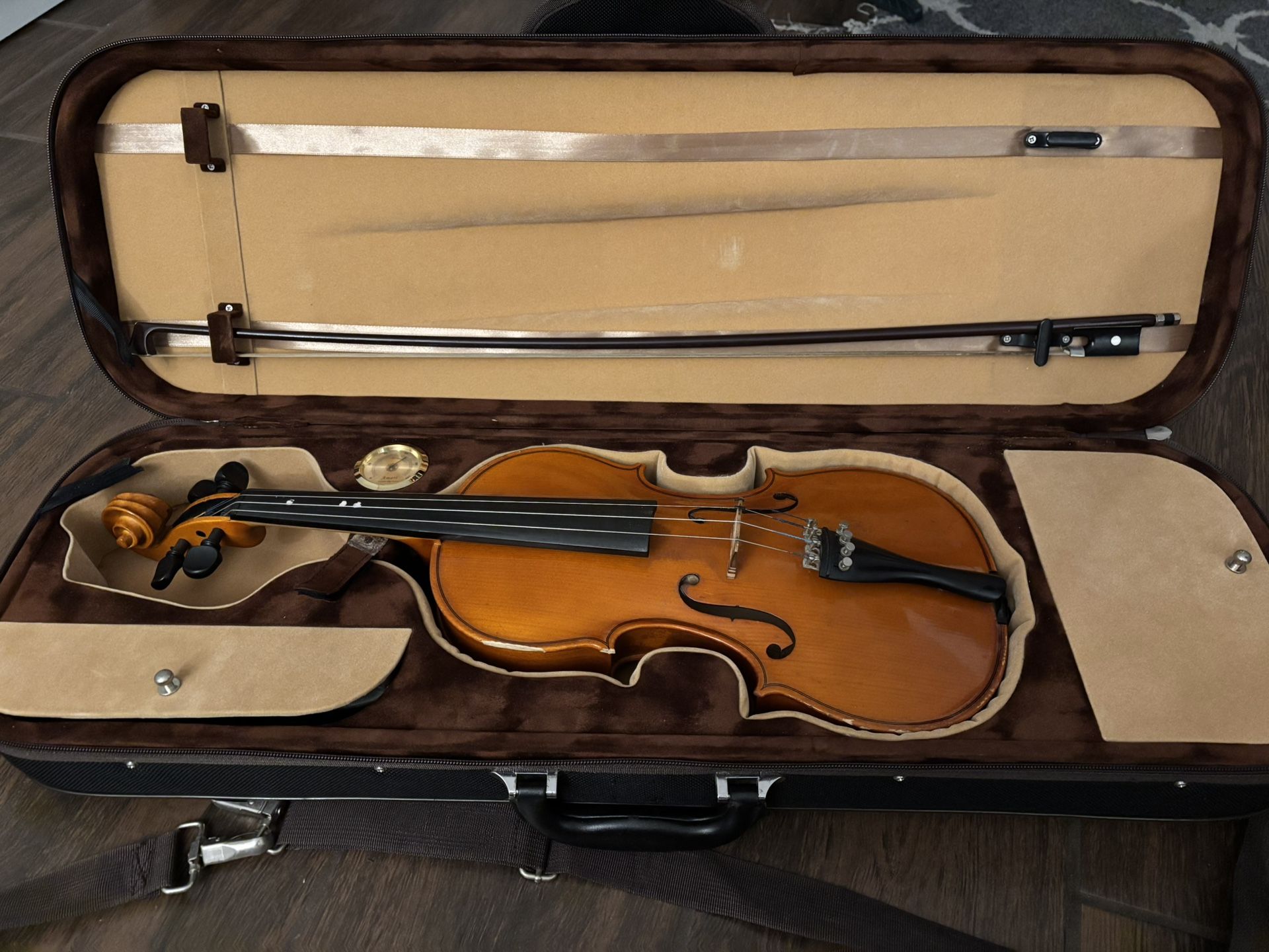 Violin