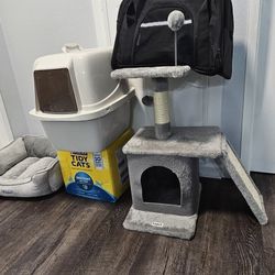 Cat Starter Kit