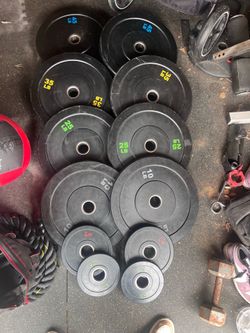 Olympic Weights Bumper weights