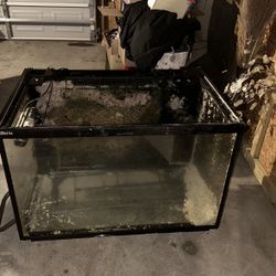 100 Gal Salwater Aquarium