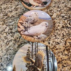 21 Wildlife Collectible Plates. One Low Price 
