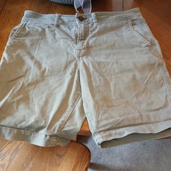 Men's American Eagle Next Level Flex Shorts & Swimming Trunks &T Shirt 