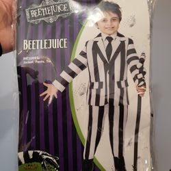 Beetlejuice Costume