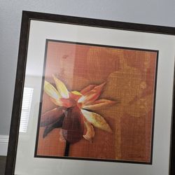 Framed Floral Artwork By Tandi Venter