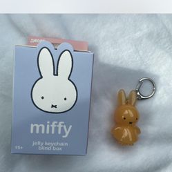 Miffy Jelly keychain: Blind Box/ Collectibles 