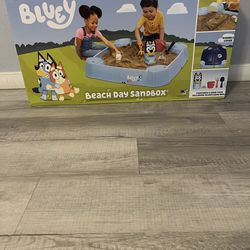 Bluey sandbox