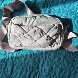 Bagsmart Fannypack Perfect For Fall 