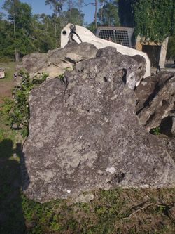 Ocala Field stone/ Lime stone