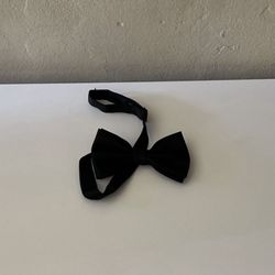 Bow Tie 