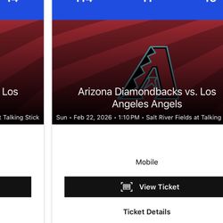 Diamondbacks Tickets Sunday 2/22