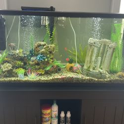 Aquarium Tank With Accessories And Wooden Desk
