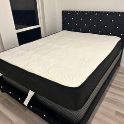 Elegant Design All Beds Frames Single Full King Queen !