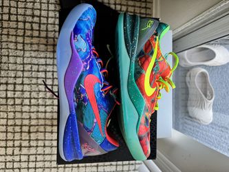 Kobe 8 men’s protro what the