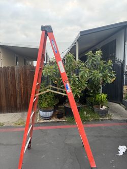 Werner Fiberglass Step Ladder