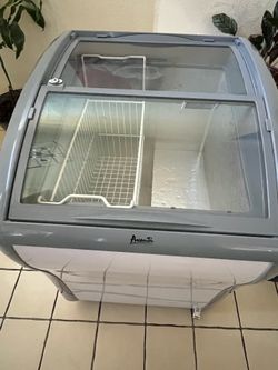 Avanti commercial freezer or Fridge