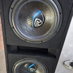 2 10 Inch Subwoofers With Enclosure