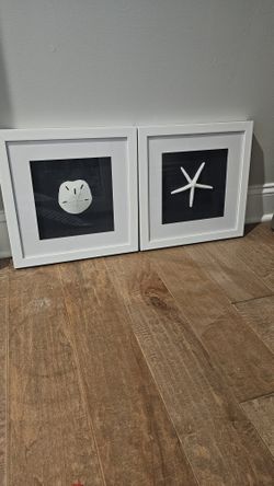 Set of 2 Coastal Shadowbox Wall Art – White Frames (Sand Dollar & Starfish)