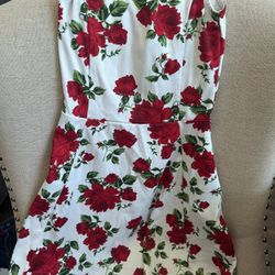 Beautiful Flower Dress