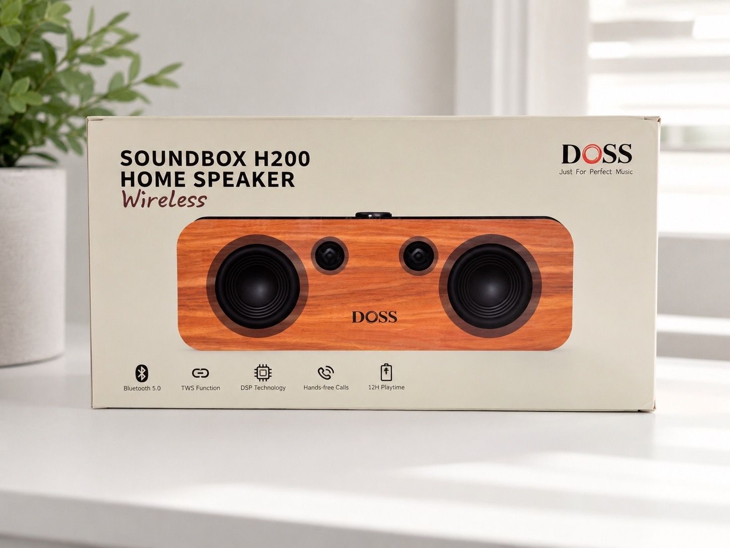 home speaker