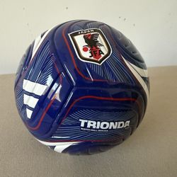 Japan World Cup Mini Soccer Ball