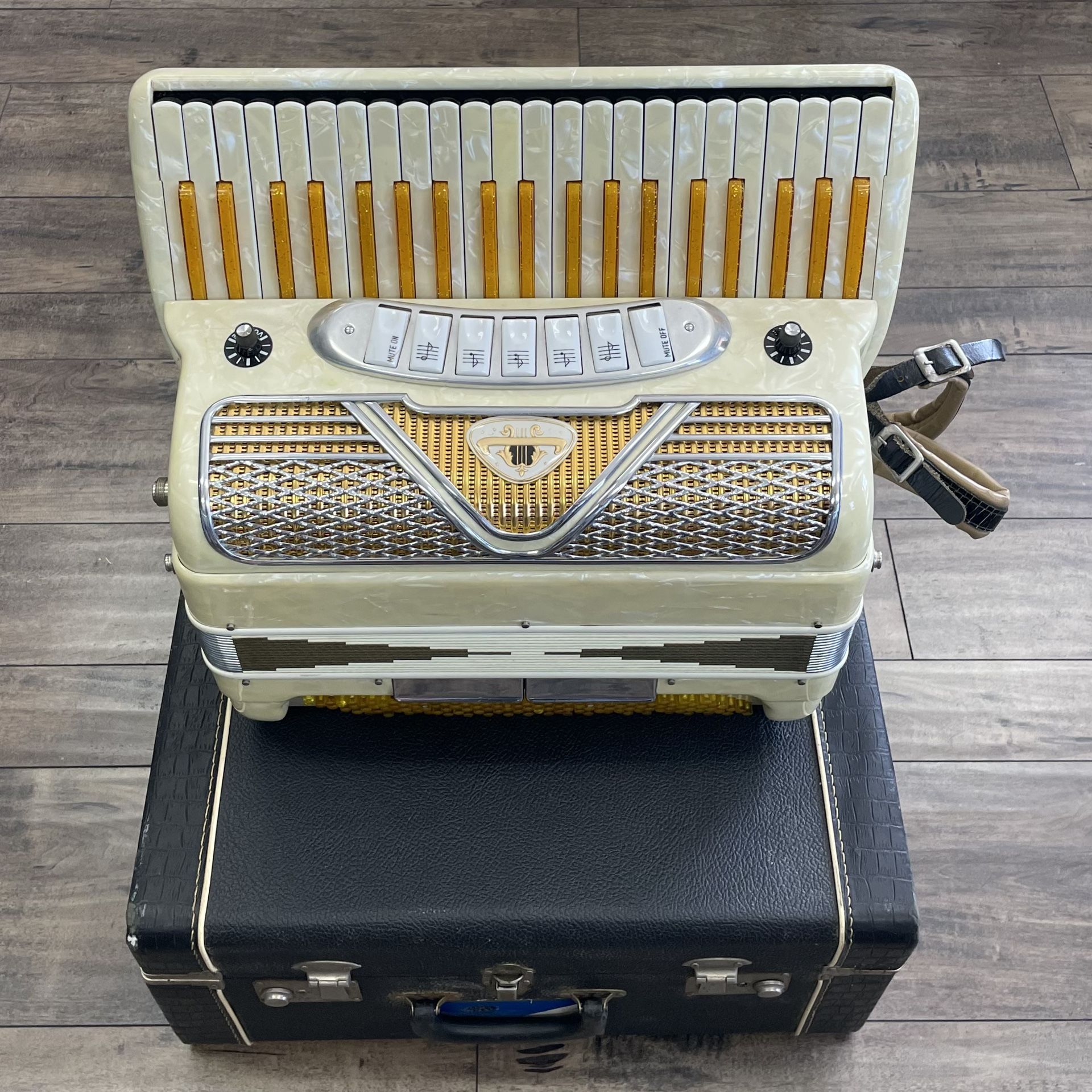Vintage Accordion Made In Italy 