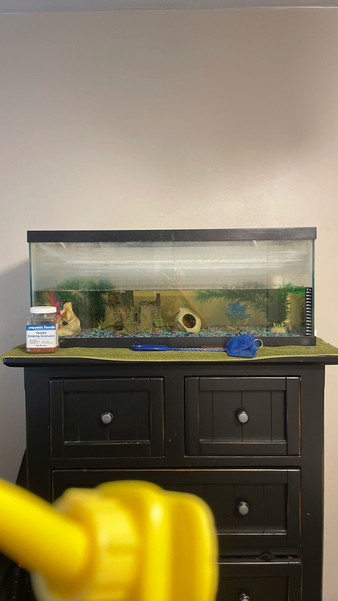Fish Tank