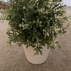 Tiny Fake Plants $8 Each