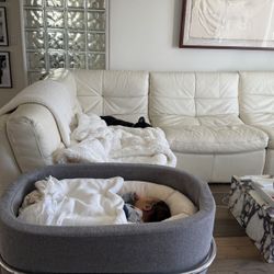 Monte Rockwell Bassinet