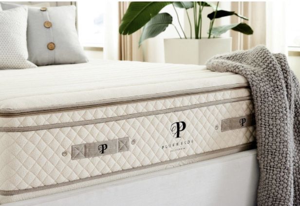 King Mattress Organic Natural Latex Like New!