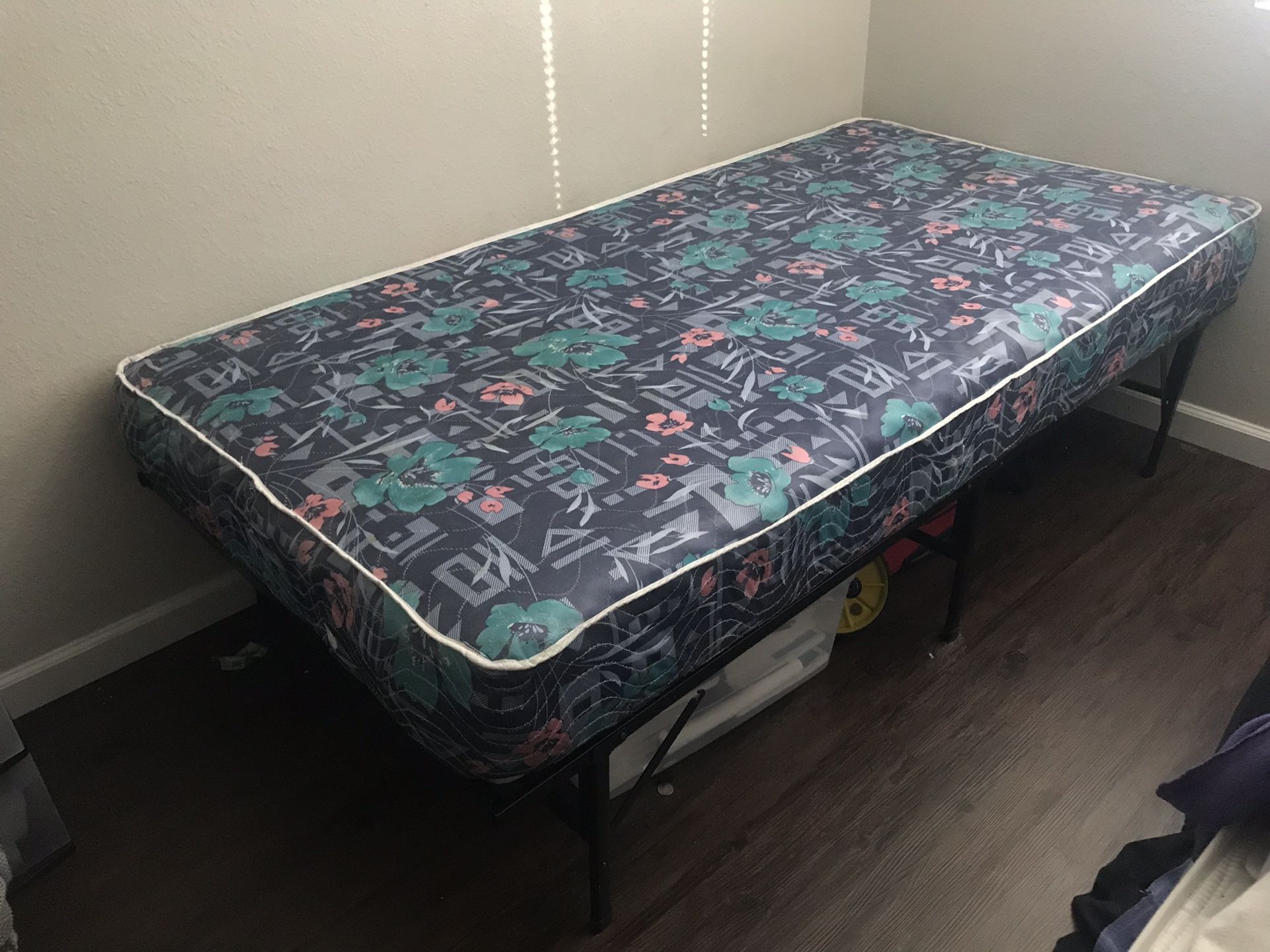 Twin Mattress/Frame