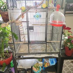 Large Bird Cage With 3 Parakeets Budgies