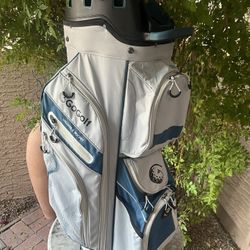 Golf cart bag in great shape