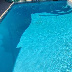 Pool Cleaner 