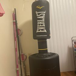 Stand Up Punching Bag 