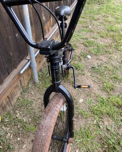 Mongoose 