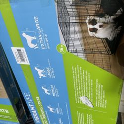 dog cage 