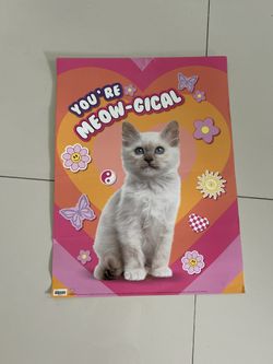 Pink Poster with Kitten