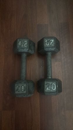 20 Lb weights {DB}