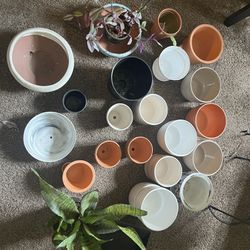 Pots, Planters, Terracotta Pots and more..