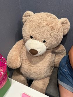 Free Large Plush Teddy Bear