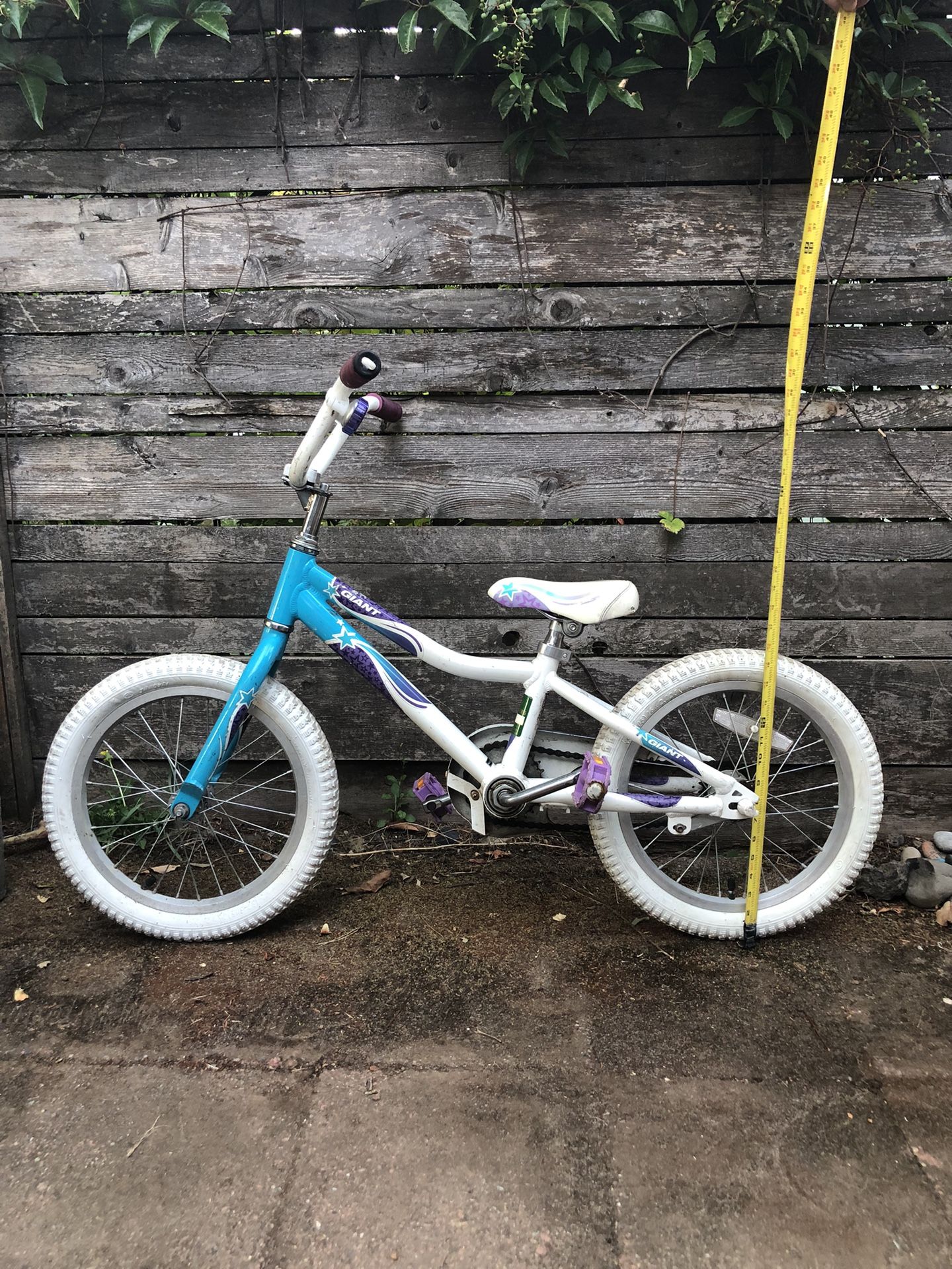 Girls Bike 16 Inches