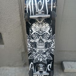 Skate Board