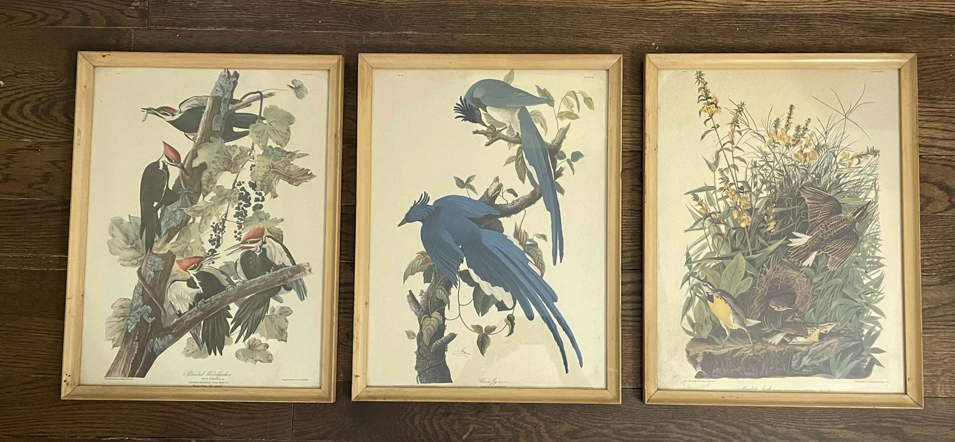 Audubon Lithographs Set Of 3