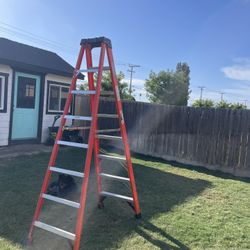 8 Foot Ladder