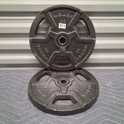 Weider Cast Iron Weightlifting Plates 25lbs Pair 12"