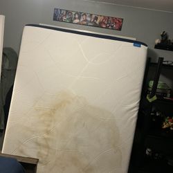 Free Queen Mattress 