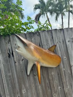 Shark Wall Mount 3ft Length