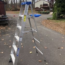 Werner 6’ Aluminum Ladder