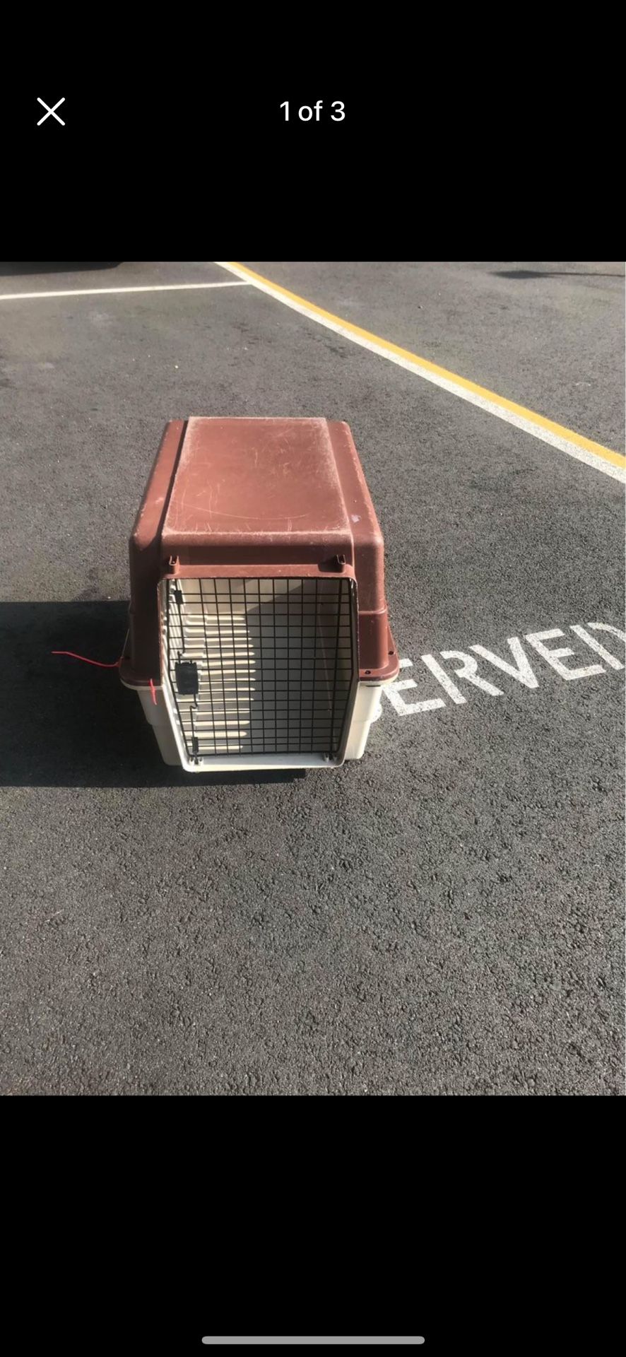 dog case