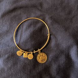 Alex and Ani Brass Skyline Paw Print Bangle Bracelet.
